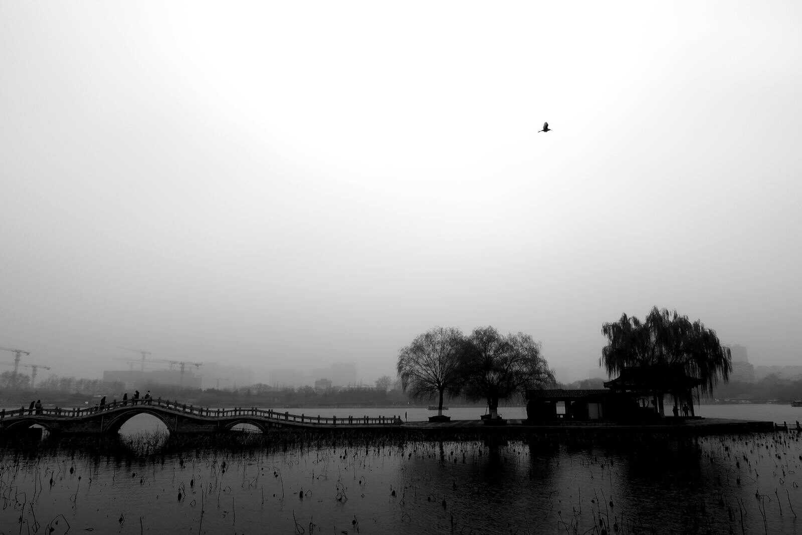 State Constitutional Provisions